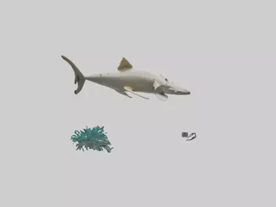 Sawfish moving near ocean floor model Low-poly 3D model