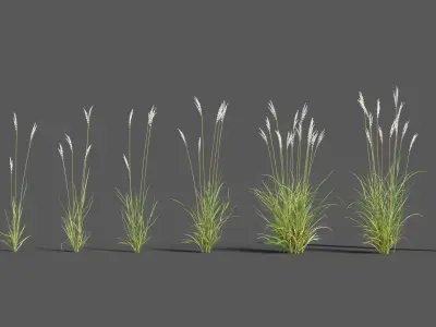  Plants Pack 3: Ornamental Grasses (+GrowFX) 