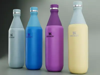 ll Day Slim Insulated Water Bottle 3D model