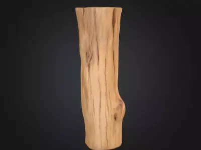 Nature Timber and Driftwood Collection 3D Model Pack