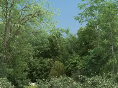  100 Broadleaf Trees with snow 