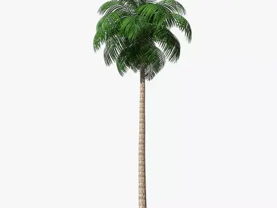 Palm Tree 02 Low Poly Low-poly 3D model