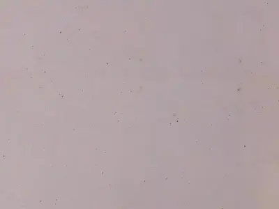 Clean Concrete Surface Texture