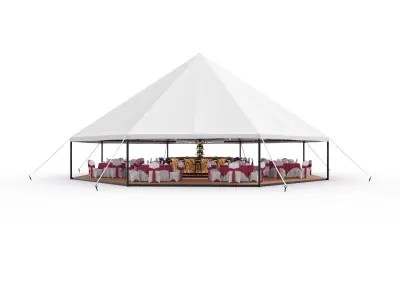 Party Tent 02 3D model