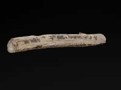 Tree Debris Branch Low-poly 3D model