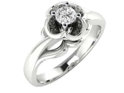  Women Ring Render 3dm STL MTL SLC JCD OBJ FBX Details 3D print model 27