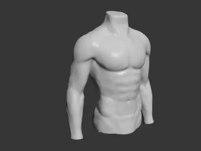 Female and Male Torso Manenequins 3D model