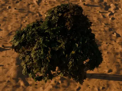 Tree in desert 3D model