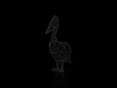 Pelican Wireframe Low-poly 3D model