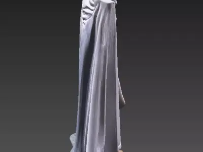 Veiled Silhouette - Mystic Cloaked Woman 3D model