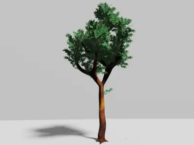 Tree Free eucalyptus PBR Free low-poly 3D model