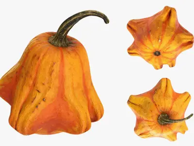  3D Photogrammetry Food Bundle 07 