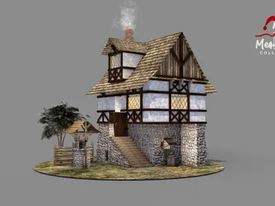 Medieval House 03 3D model