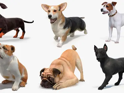  Small Dogs Rigged for Cinema 4D Collection 4 