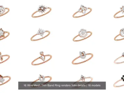 16 Wire Mesh Thin Band Ring renders 3dm details 3D Model Pack