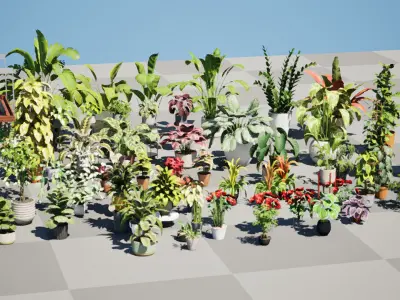 Houseplants 3d Assets Collection 3D Model Pack