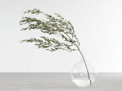 Glass Vase with Olive Branch 3D model