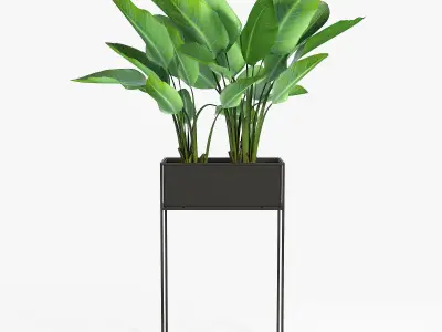 Three Black Standing Planters 3D model