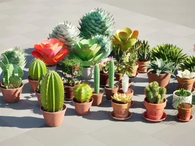 Potted Cactus and Succulent 3D Collection Low-poly 3D model