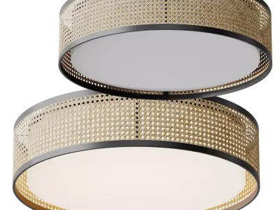 Lyla Ceiling Flush Light 3D model