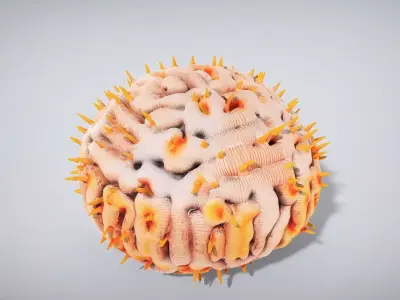 Vibrant Tubastraea Coral Colony Low-poly 3D model