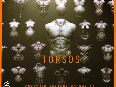 TORSOS - 33 Character and Creature Insert meshes and OBJs 3D model