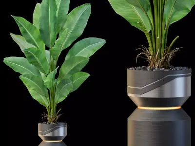 Plants collection 875 3D model