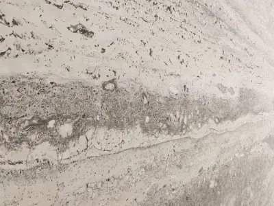 Travertine 08 Texture