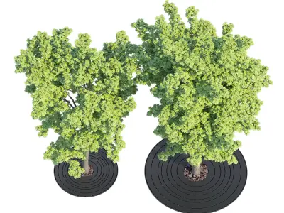 Croso circles grille 3D model