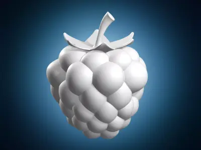 Raspberry Fruit Model 3D print model