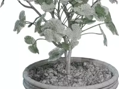 Potted Balcony Geranium Low-poly 3D model