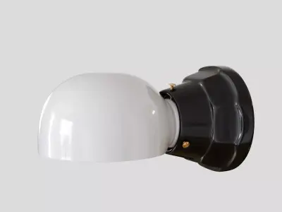 Norfolk Sconce with Dome Turtle Shade  3D model