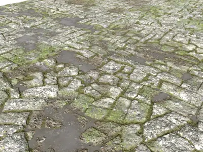 Old Mossy Floor Seamless PBR Texture
