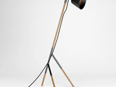 Insert Floor Lamp by Artisan  3D model