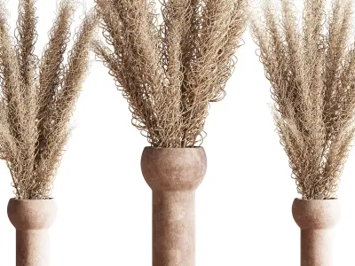 Dry Flowers Bouquet Vase 07 3D model