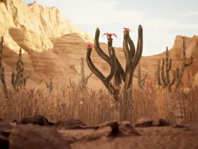 Cactus Package 16 Assets Low-poly 3D model