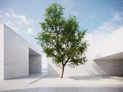 Large forest tree 3D model