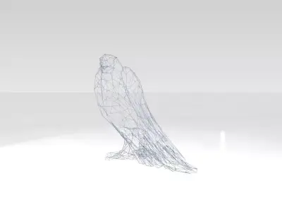Parrot Wireframe 3D model