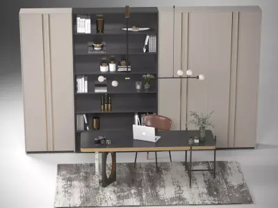 Elegant Office Desk with Bookshelf and Delicate Lighting 3D model