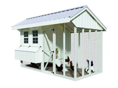 Hen hause white for 14-16 chickens 3D model
