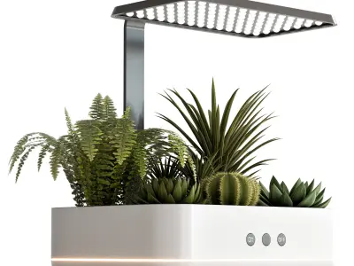 PLANTS IN DIGITAL VASE NO2 A 3D model