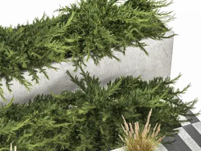 Cypress And Juniper With A Bench For An Park 1167 3D model