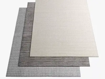 Restoration Hardware Rugs 81 3D model