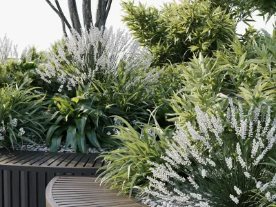 Outdoor Plants 2 3D model