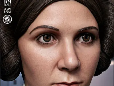 STAR WARS Leia Organa Portrait Bust 3D print model