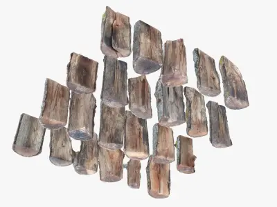Wood Scan Pack Low-poly 3D model