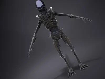 Alien Xenomorph High Detail 3D model