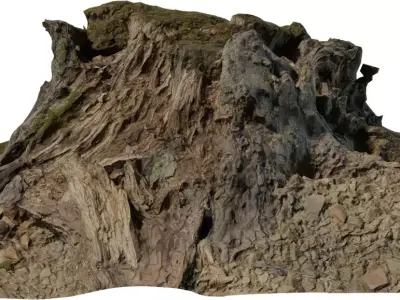 Forest Stump Rock Hill Low-poly 3D model