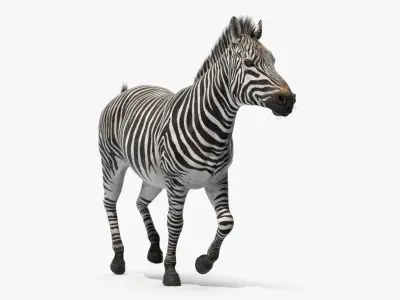  Striped Equine Running Fur 