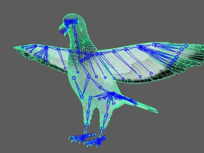  Realistic Animated Rock Pigeon Low-poly 